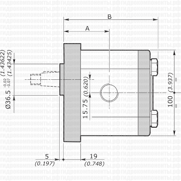2SPG (2SP-G) шестерёнчатый насос второй группы Galtech