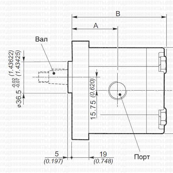 Стандартный европейский фланец Ø = 36,5 мм (96x72 мм), 2SPA (2SP-A) шестерёнчатый насос второй группы