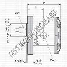 3GPG (3GP-G) шестерёнчатый насос третьей группы (19,0 см3 - 61,1 см3), фланец Ø = 50,8 мм, 128x98 мм (Galtech, Италия)